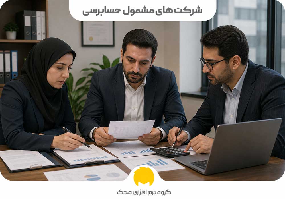  شرکت های مشمول حسابرسی