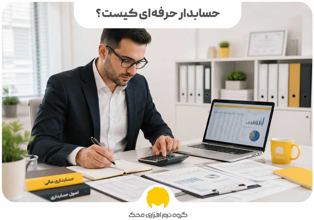 حسابدار حرفهای کیست؟