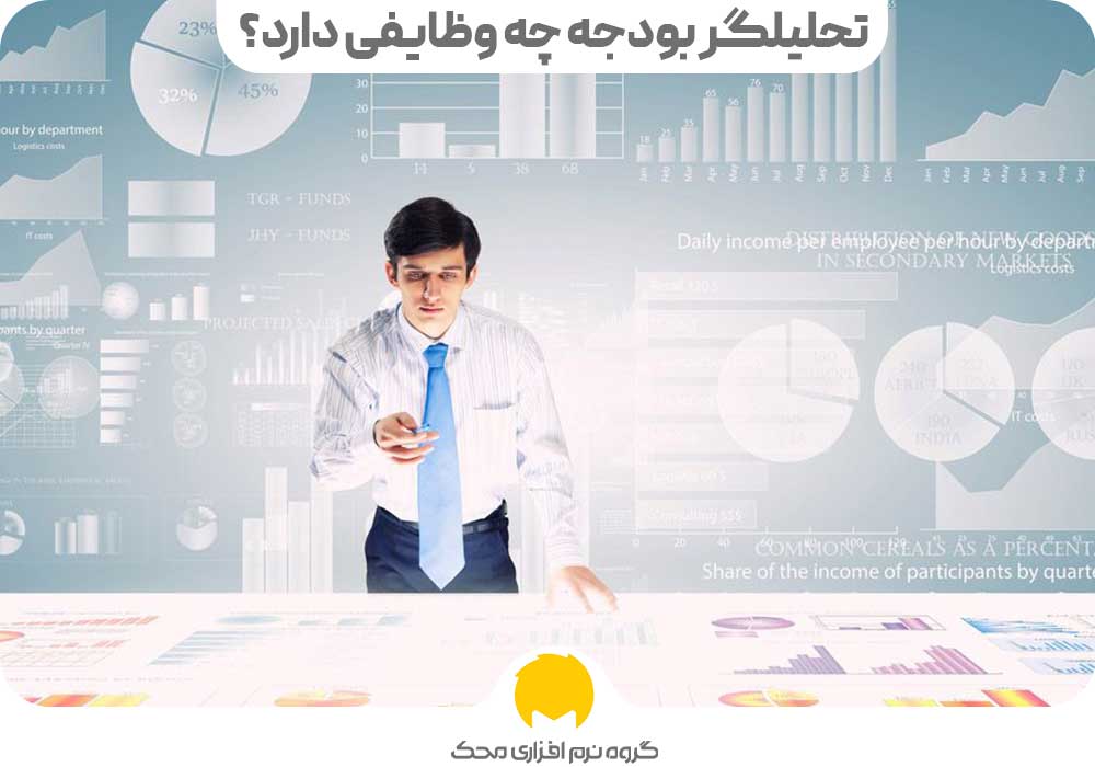 تحلیلگر بودجه چه وظایفی دارد؟