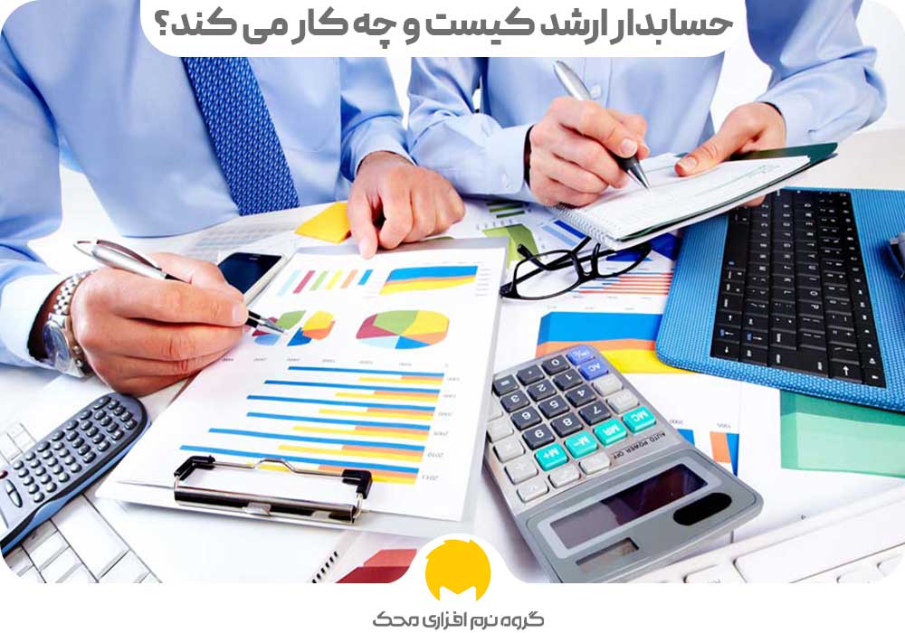 حسابدار ارشد کیست و چه کار می کند؟