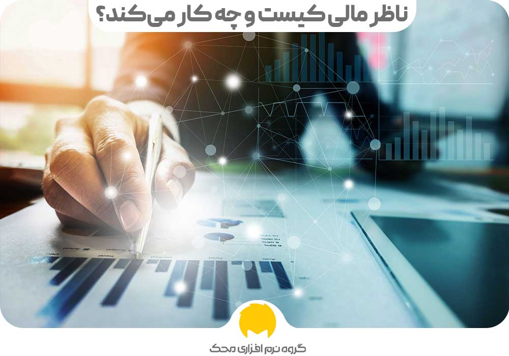 ناظر مالی کیست و چه وظایفی دارد؟