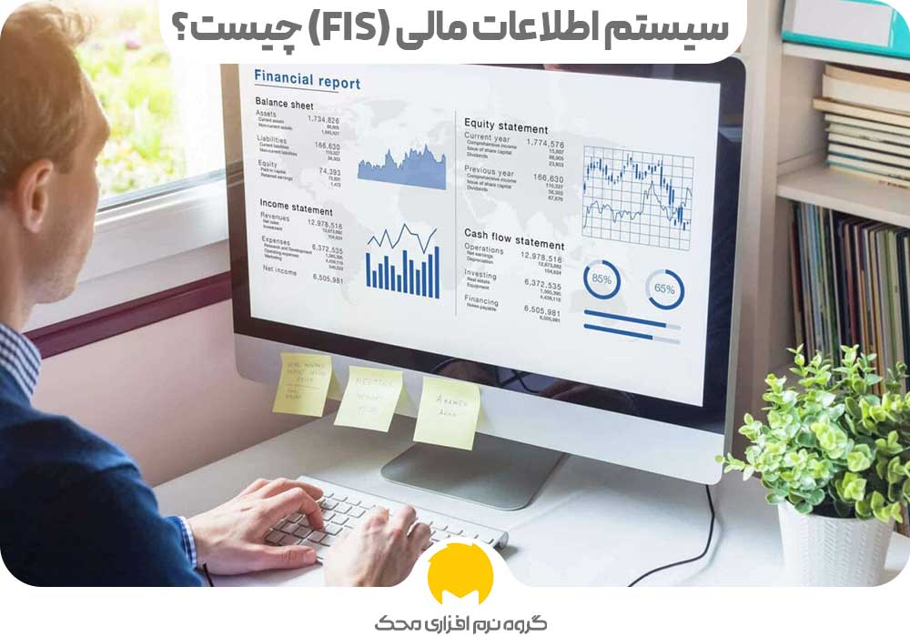 سیستم اطلاعات مالی چیست