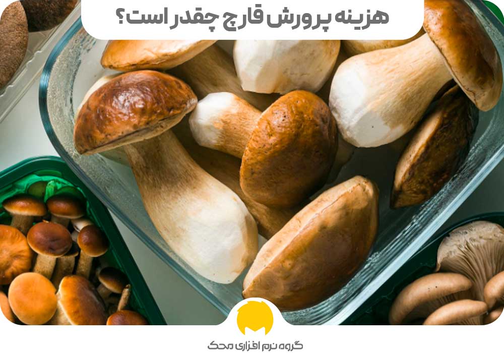 هزینه پرورش قارچ چقدر است؟