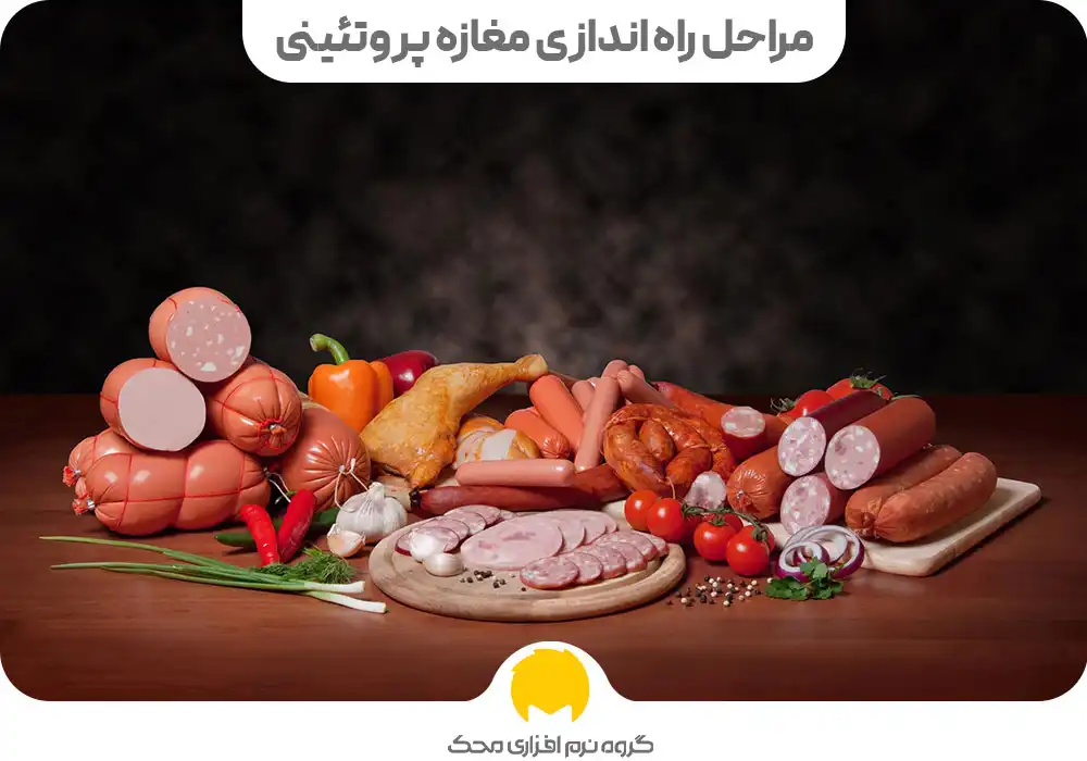 تامین سرمایه لازم برای راه اندازی پروتئینی