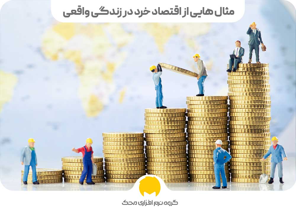 مثال هایی از اقتصاد خرد در زندگی واقعی