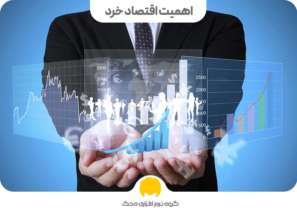 اهمیت اقتصاد خرد