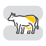 نرم افزار حسابداری دامداری