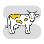 نرم افزار حسابداری گاوداری