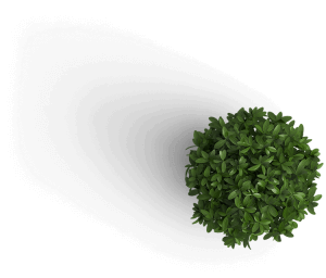 plant محک طعم جدیدی از حسابداری (نرم افزار حسابداری فروشگاهی،نرم افزار حسابداری شرکتی،نرم افزار حسابداری تولیدی)